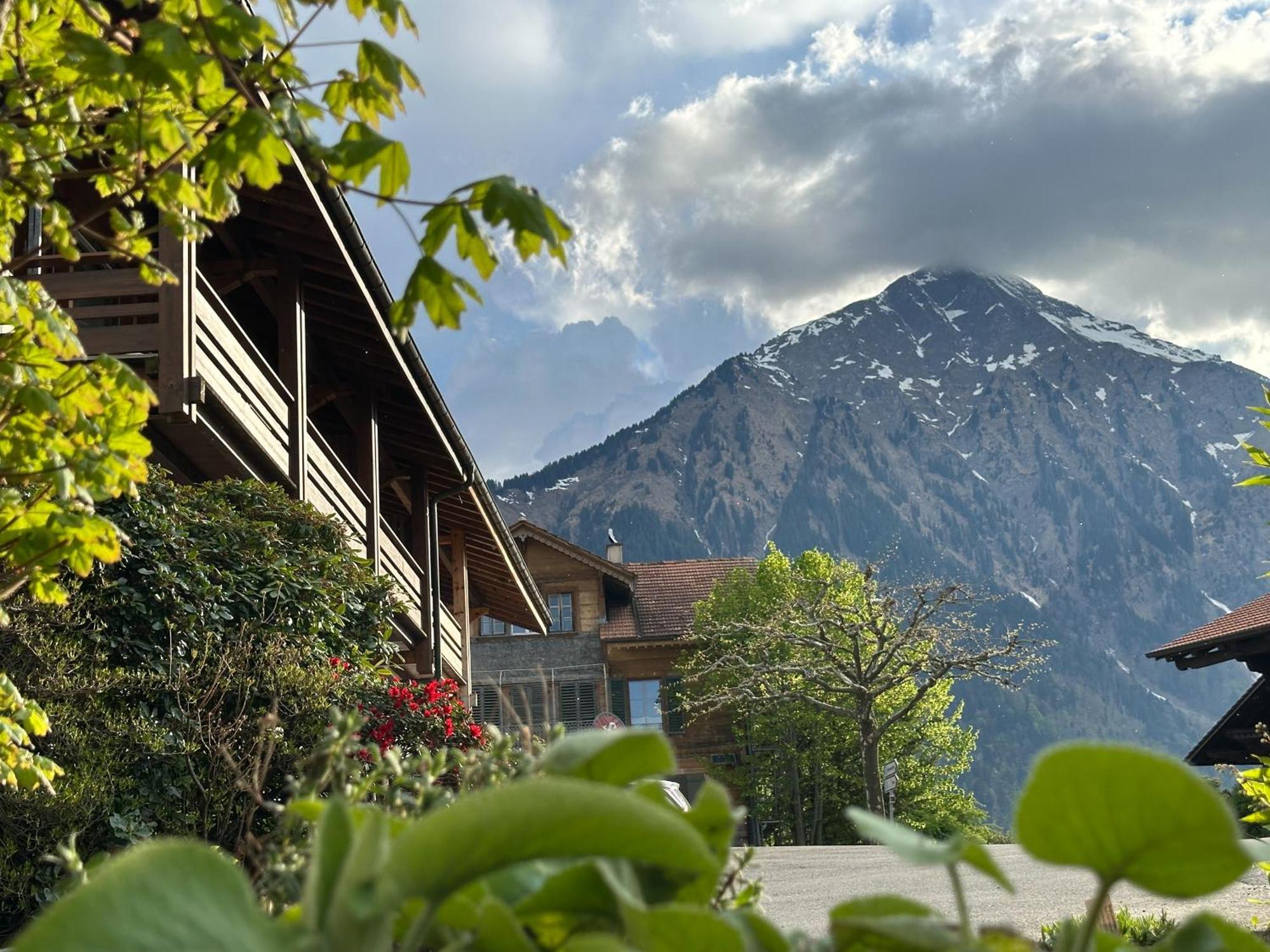Hotel Aeschipark Aeschi Bei Spiez Esterno foto